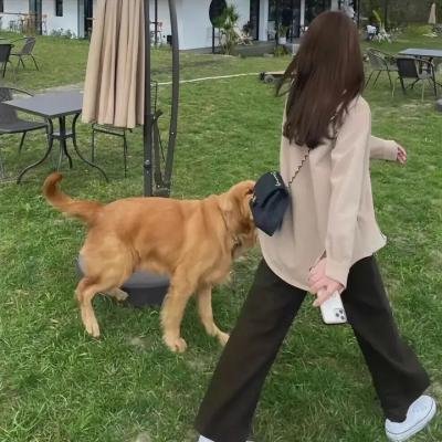 请读我的唇